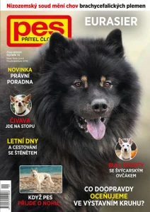 Pes přítel člověka 9/2025